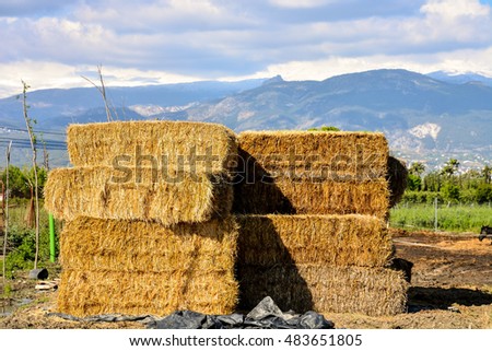 Photo picture Autumn rural landscape with hay bale, and farm