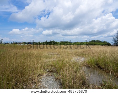 A view of an grass field with a clear blue skies and white clouds formation. Picture taken with soft focus at full resolutions