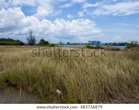 A view of an grass field with a clear blue skies and white clouds formation. Picture taken with soft focus at full resolutions