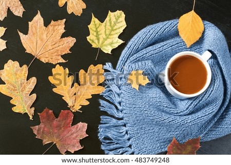 cup of hot cocoa on the autumn background,top view.
