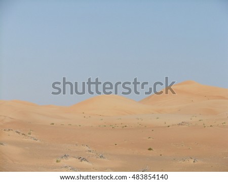 Huge dunes of the desert. Fine place for photographers and travelers. Beautiful structures of sandy barkhans.