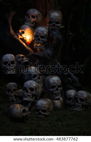 still life photography : group of many skull on the roots abstract concept