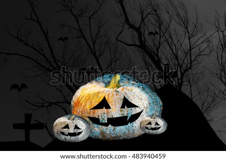 Halloween pumpkin in park with tree, Dark tone background.