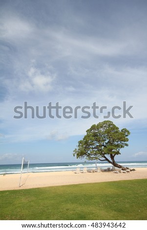 beach volley ball field with trees nearby