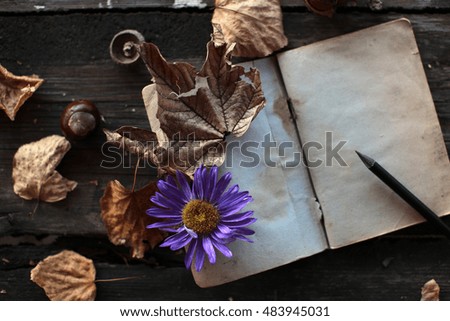 open note book and sun flower on wood background