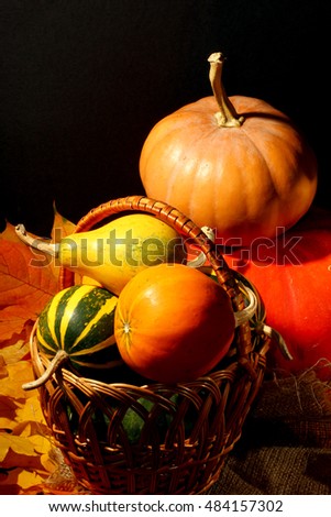 Autumn still-life picture with pumpkins