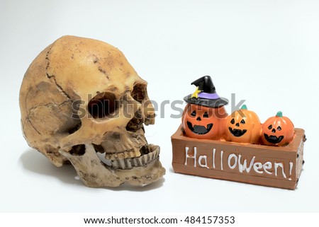 Three pumpkins in the box with human skull isolated in white background