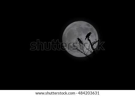 scary of crows and tree with the moon, subject is blurred and low key