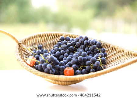 Red grapes, autumn food harvest 