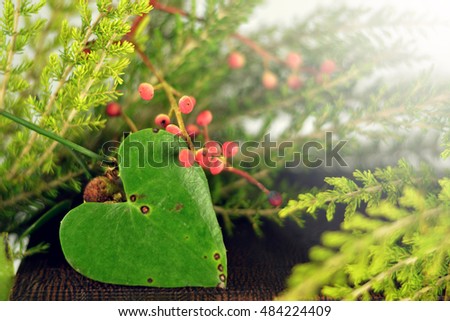 Heart shaped leaf and natural background. Love concept	