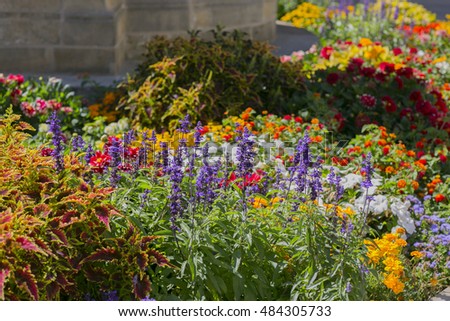 Composition of flowers in Germany garden 