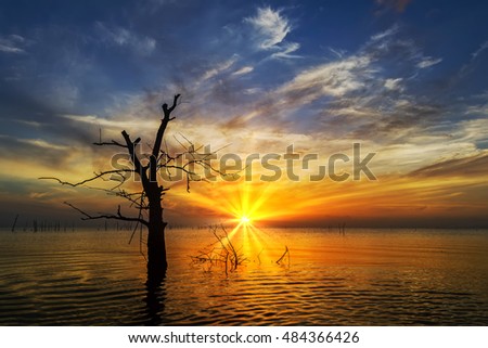 dead tree trunks submerged in a Lake Songkhla, Thailand at sunrise