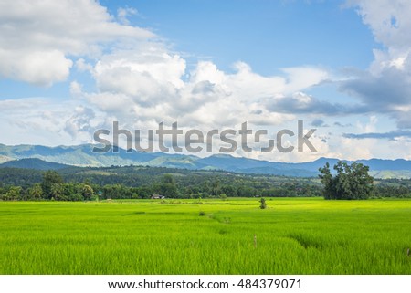 the beautiful sky and rice field in the countryside of Thailand. the rice is almost harvested.