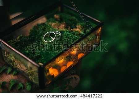 White golden rings decorated in vintage glass box prepared for twilight wedding ceremony held outdoors in forest