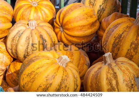 orange pumpkins at the market