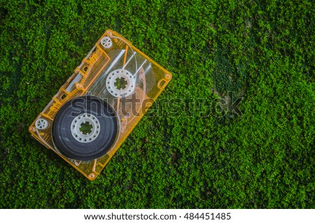 Tape cassette on the green grass