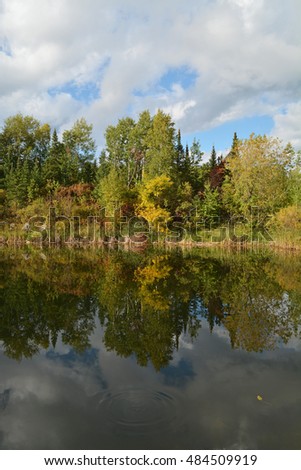 Autumn Leaves Reflecting in the Water - Fish Ripples - Rainer, Minnesota