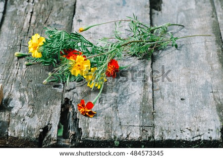 Flower on old gray wooden table, background photo texture