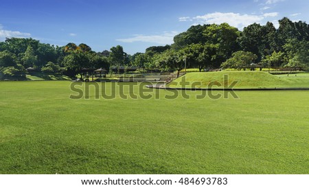 landscape trees grassland garden with the blue sky in the park