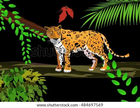 Jungle scene with jaguar on tree and bat  vector illustration