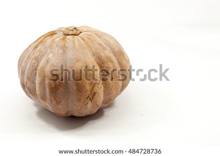 the pumpkin over white background. 