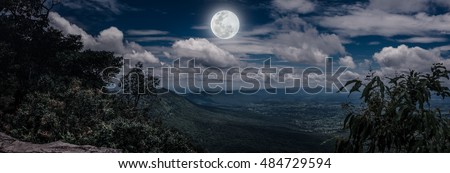 Panorama of the perfect combination natural beauty at national park. Evergreen forest against beauty sky with full moon, outdoors at nighttime. Nature background. The moon were NOT furnished by NASA.