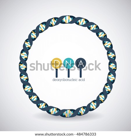 Dna circle structure chromosome icon. Science molecule genetic and biology theme. Isolated design. Vector illustration