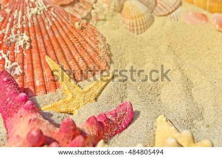 Summer concept of sandy beach, shells and starfish.  Red starfish and seashells