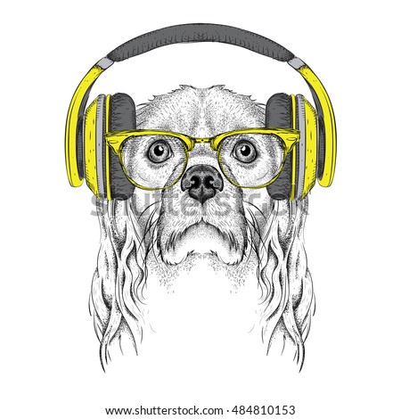 The image of Cocker Spaniel in the glasses, headphones and in hip-hop hat. Vector illustration.