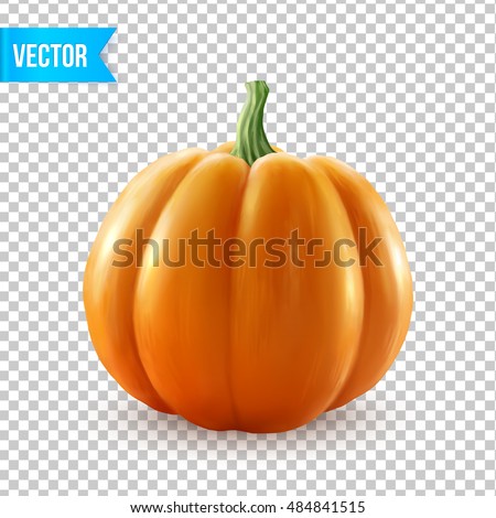 Realistic vector pumpkin isolated on transparency grid background Royalty-Free Stock Photo #484841515
