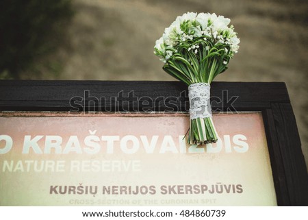 beautiful bouquet of white flowers hanging on the picture