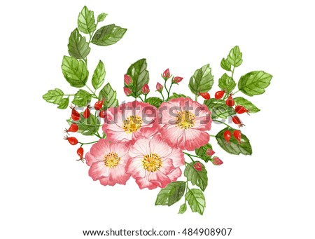 Bouquet of rose flowers and leaves by watercolor painting on isolate backgrounds.