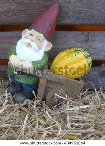 Dwarf with wheelbarrow and pumpkin in front of a wooden wall