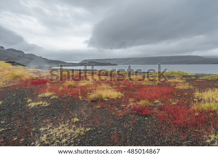 Icelandic colorful landscape on Iceland, summer, 2016