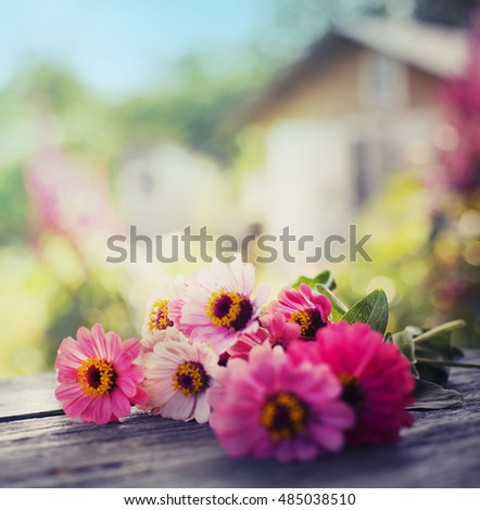 beautiful flowers in vintage color