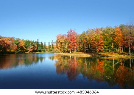 Colorful autumn tree reflections in Allegheny national forest.