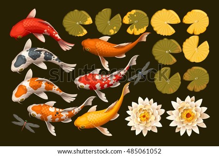 Set of koi fish and lotus