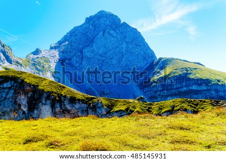 beautiful details of alpine mountain landscape on bright summer day