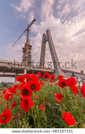 Red poppies on a bridge construction site