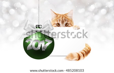 ginger cat and gift card with green christmas ball and silver ribbon bow