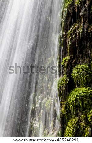 fresh green waterfall walpaper