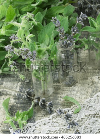 fresh mint and dry lavender in the glass bottles