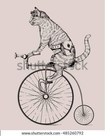 steam-punk cat on retro bicycle with bag and glasses, cat in etching, isolated, fantasy, print, etch, vector cat, graphic, poster, vintage