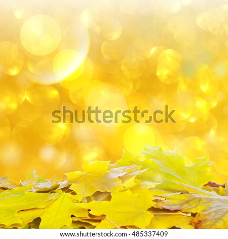 Autumn wallpapers with colorful fallen autumn leaves on gold glitter background with bokeh