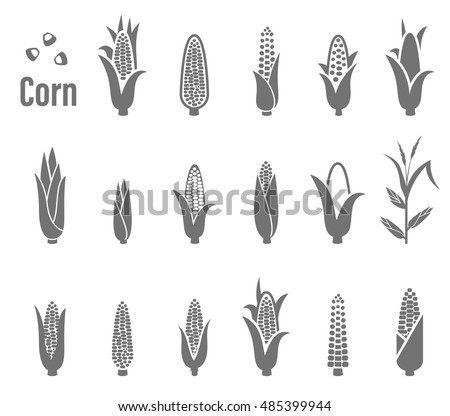 Corn icons. Vector illustration isolated on white background. Royalty-Free Stock Photo #485399944