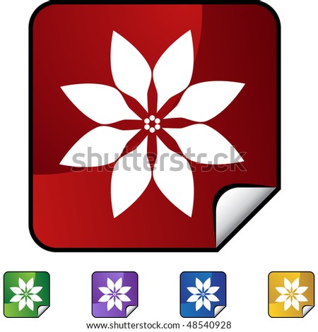 Poinsettia web button isolated on a background