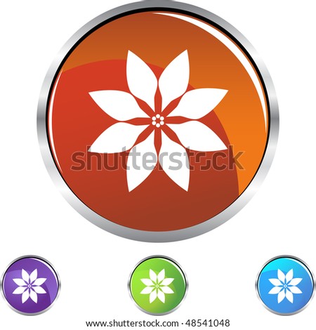 Poinsettia web button isolated on a background