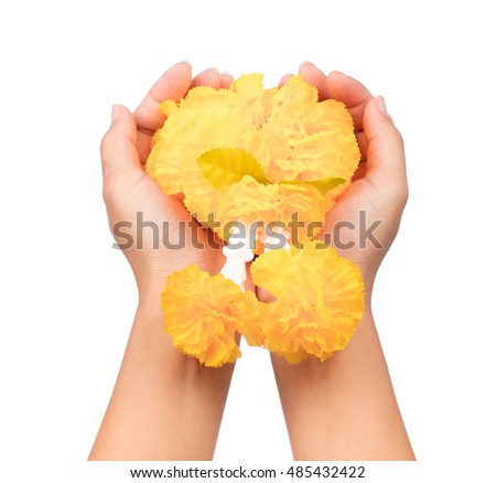 hand holding calendula garland isolated on white background