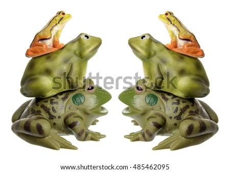 Frogs on White Background