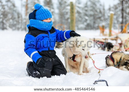 Adorable little girl having a cuddle with husky sled dog in Lapland Finland